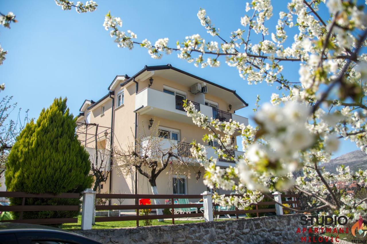 Studio Apartmani Milovic Trebinje Eksteriør bilde